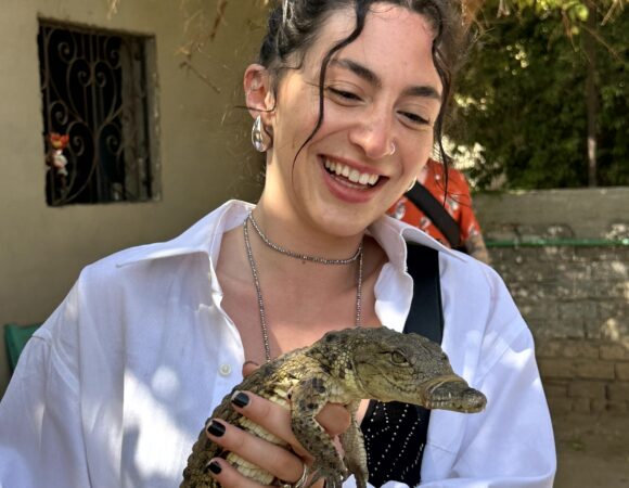 Discovery of Montaza Palace